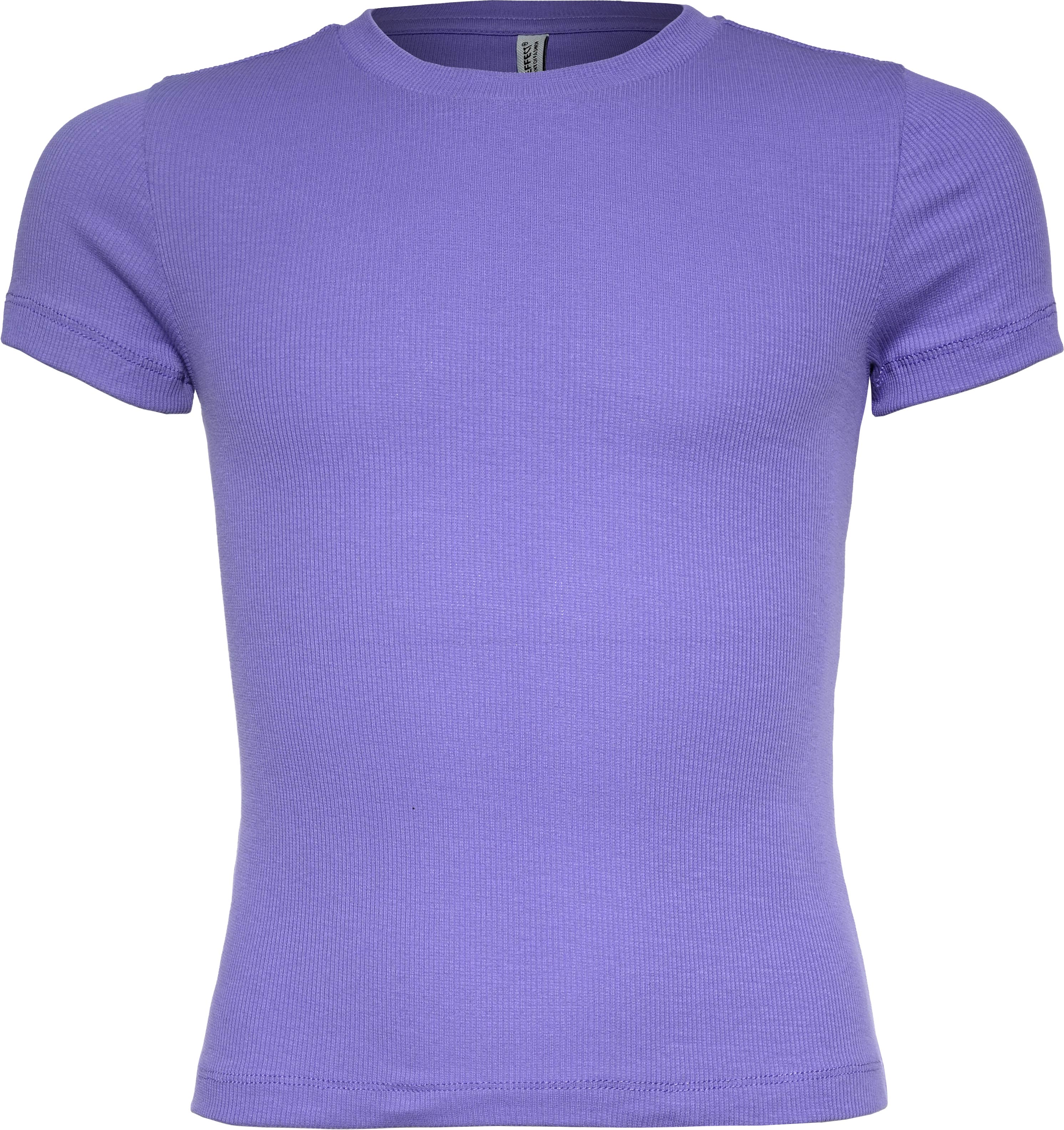 Lavendula