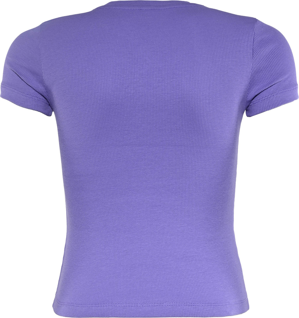Lavendula