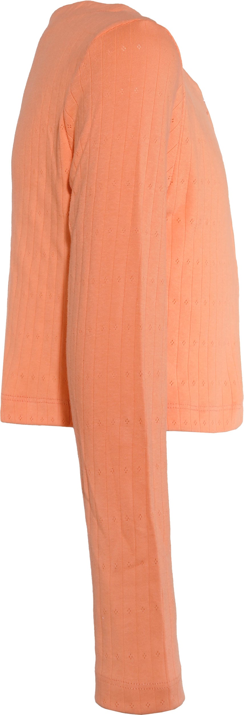 Honigmelone