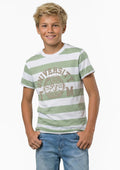 PR Moschusgrün Stripes