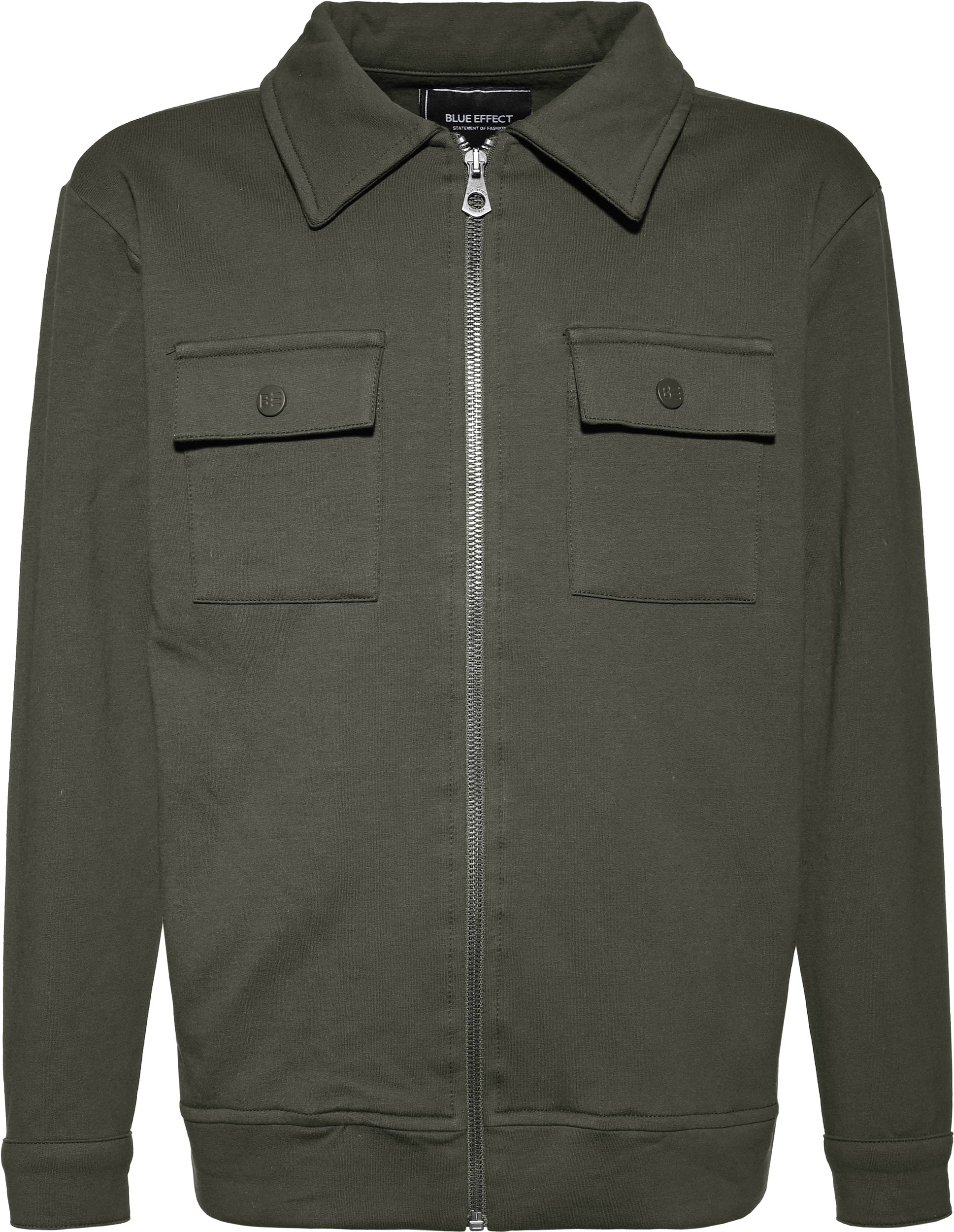 Winterolive Reactive