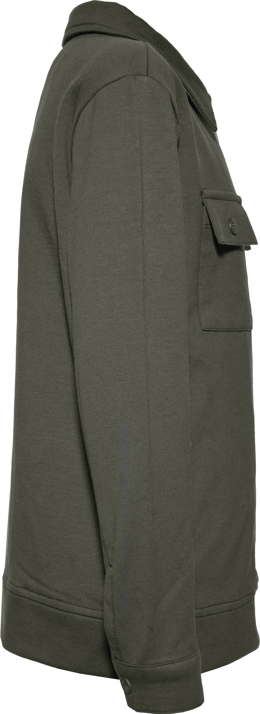 Winterolive Reactive