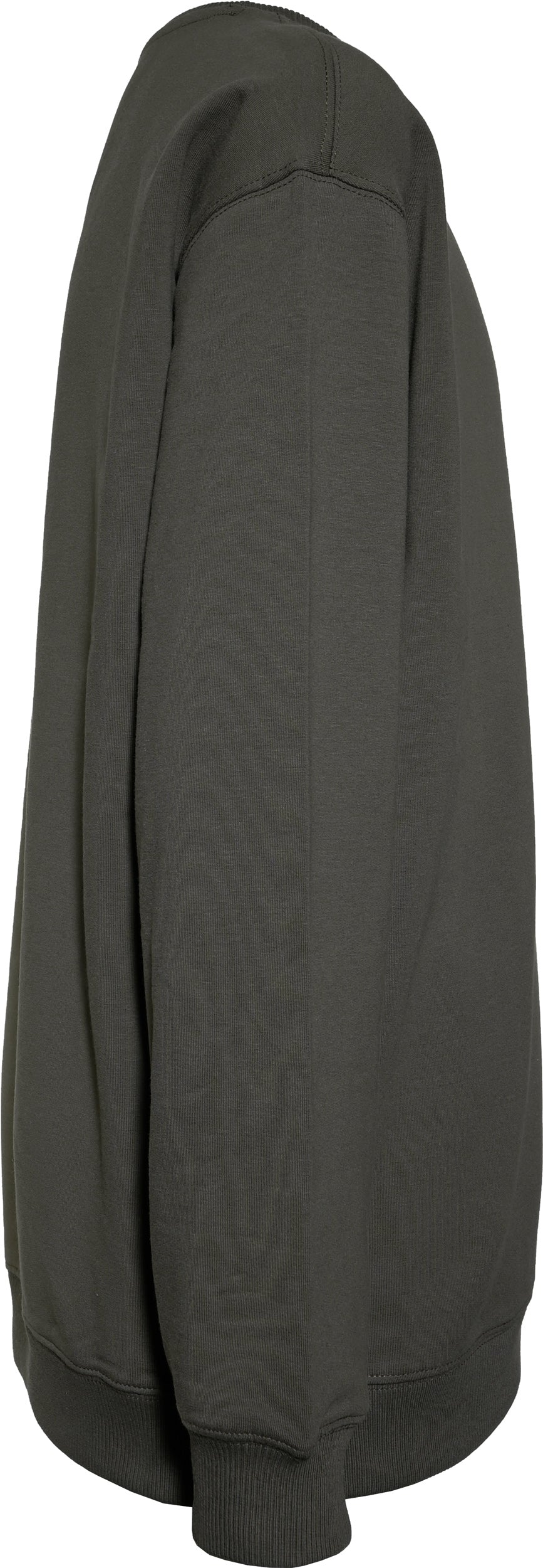 Winterolive Reactive