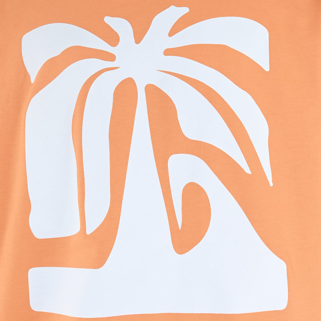 Brand Orange